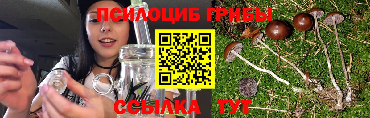 Галлюциногенные грибы Psilocybine cubensis Серпухов