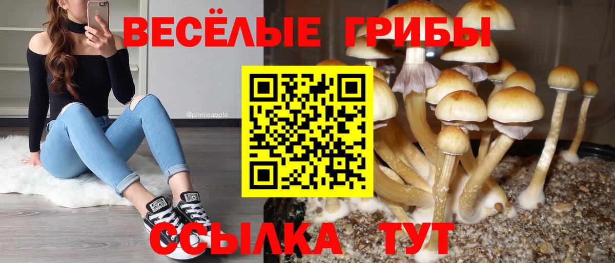 как найти наркотики  Вход с VPN  Серпухов  Галлюциногенные грибы прущие грибы  Галлюциногенные грибы ЛСД 